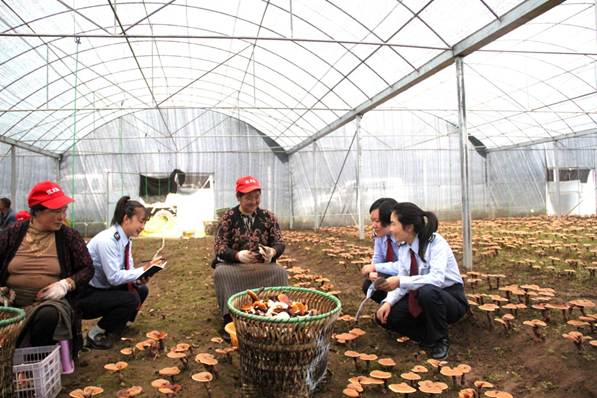 税务干部为红太阳家庭示范农场送去最新税收政策，并与工作人员交流