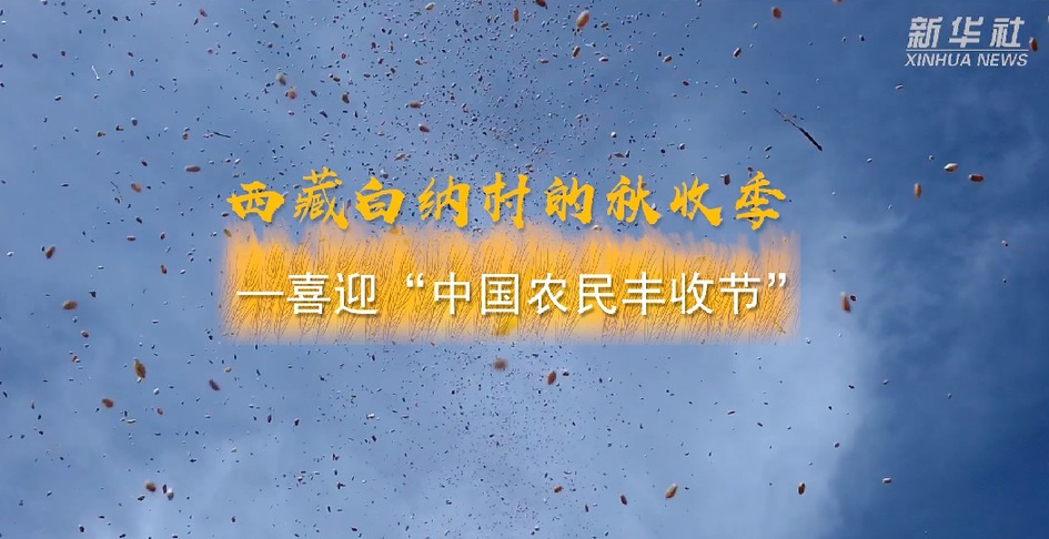 【微视频】西藏白纳村的秋收季——喜迎“中国农民丰收节”